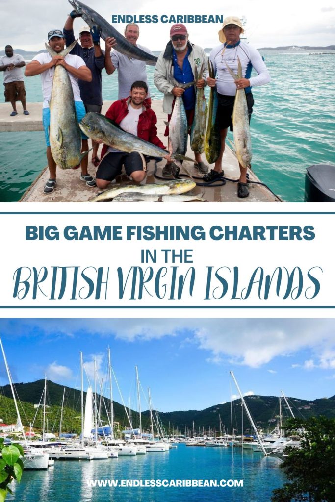 Endless Caribbean - Pinterest - Big Game Fishing Charters in the British Virgin Islands