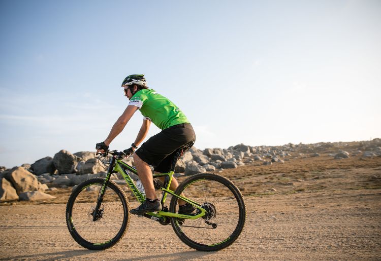 Endless Caribbean - Bike Tours in Aruba