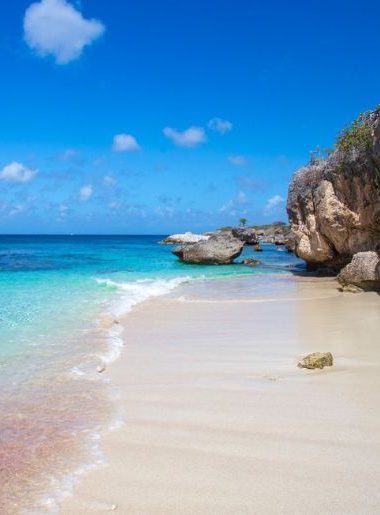 Endless Caribbean - Bonaire Participates in the Caribbean Latin Workshop in Belgium