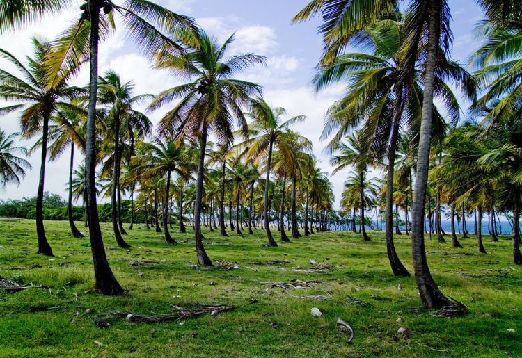 Endless Caribbean - Alphabet Travel in the Caribbean