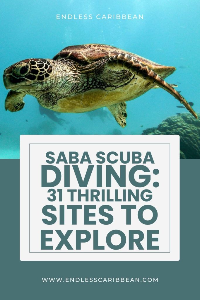 Endless Caribbean - Pinterest - Saba Scuba Diving