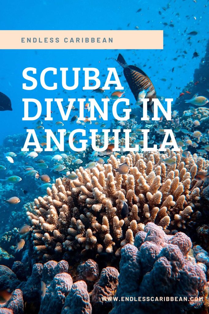 Endless Caribbean - Pinterest - Scuba Diving in Anguilla
