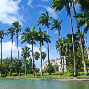 Endless Caribbean - CTO to Premiere Caribbean World Tourism Day Virtual Forum