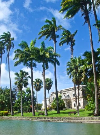 Endless Caribbean - CTO to Premiere Caribbean World Tourism Day Virtual Forum