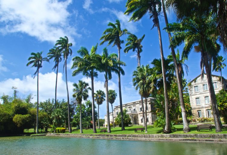 Endless Caribbean - CTO to Premiere Caribbean World Tourism Day Virtual Forum
