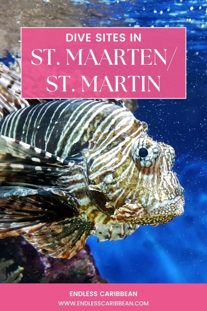 Endless Caribbean - Pinterest - Dive Sites in St. Maarten and St. Martin