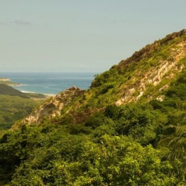 Endless Caribbean - CTO Chairman Calls for Increased Investment in the Caribbean