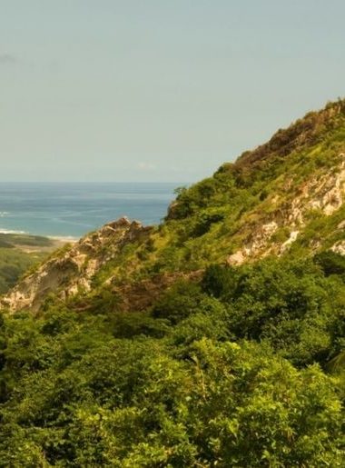 Endless Caribbean - CTO Chairman Calls for Increased Investment in the Caribbean