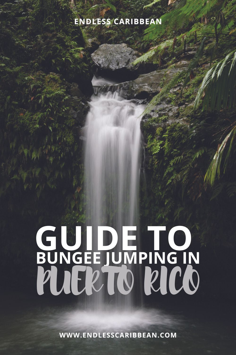 Bungee Jumping in Puerto Rico Endless Caribbean