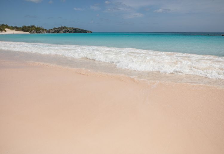 Endless Caribbean - Pink Sand Beaches in the Caribbean