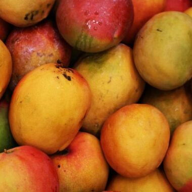 Endless Caribbean - Festivals in Saint Kitts and Nevis