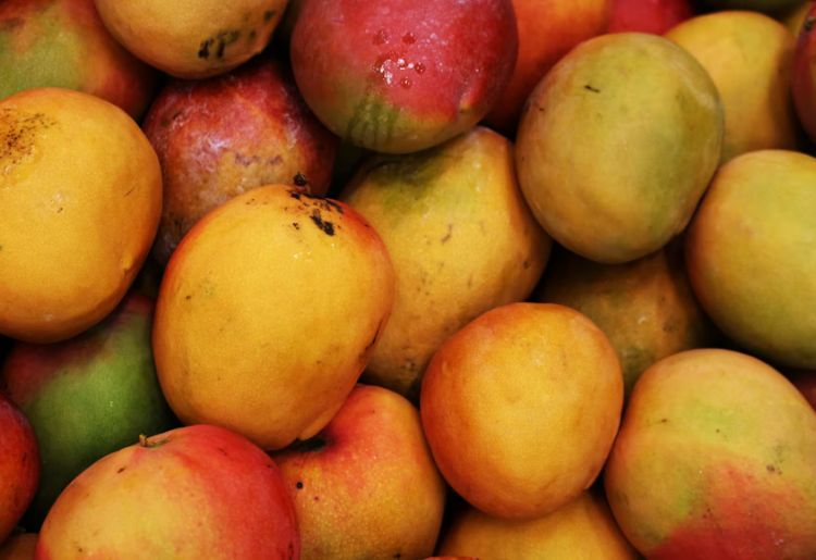 Endless Caribbean - Festivals in Saint Kitts and Nevis