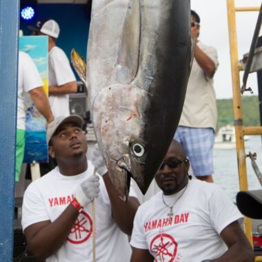 Endless Caribbean - Antigua and Barbuda Fishing Charters and Tours