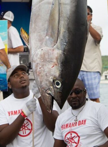 Endless Caribbean - Antigua and Barbuda Fishing Charters and Tours