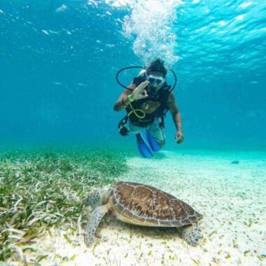 Endless Caribbean - Belize to Host STC 2026