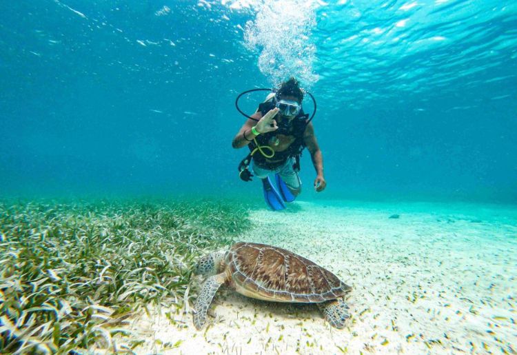 Endless Caribbean - Belize to Host STC 2026