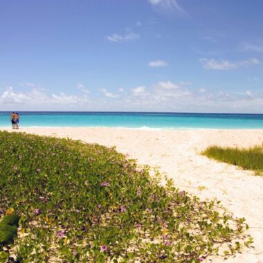 Endless Caribbean - Caribbean Quick Guide