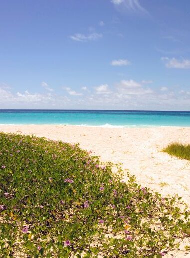 Endless Caribbean - Caribbean Quick Guide