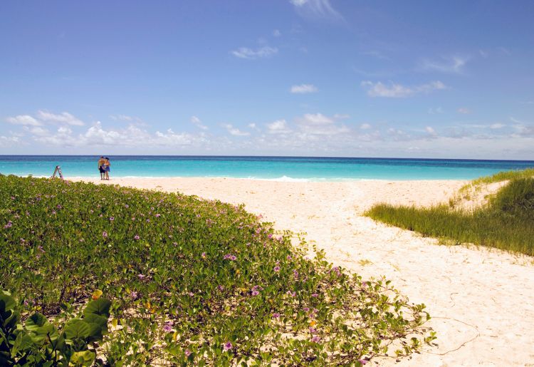 Endless Caribbean - Caribbean Quick Guide