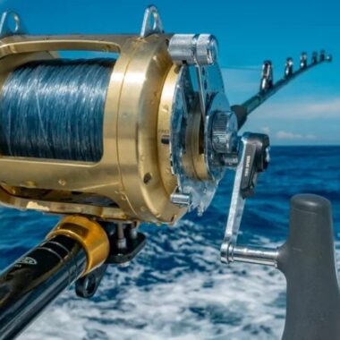Endless Caribbean - Deep Sea Fishing in Saint Lucia