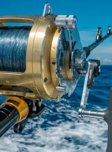 Endless Caribbean - Deep Sea Fishing in Saint Lucia