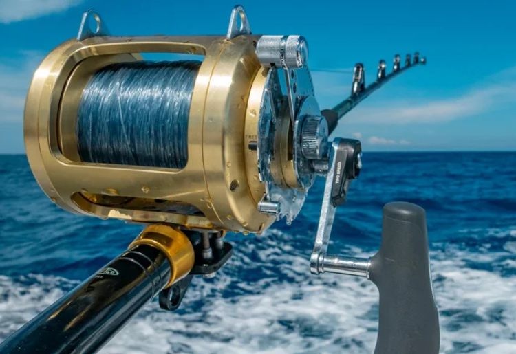 Endless Caribbean - Deep Sea Fishing in Saint Lucia