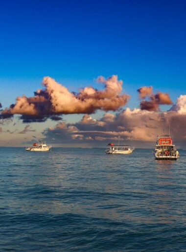 Endless Caribbean - Fishing in the Turks and Caicos Islands