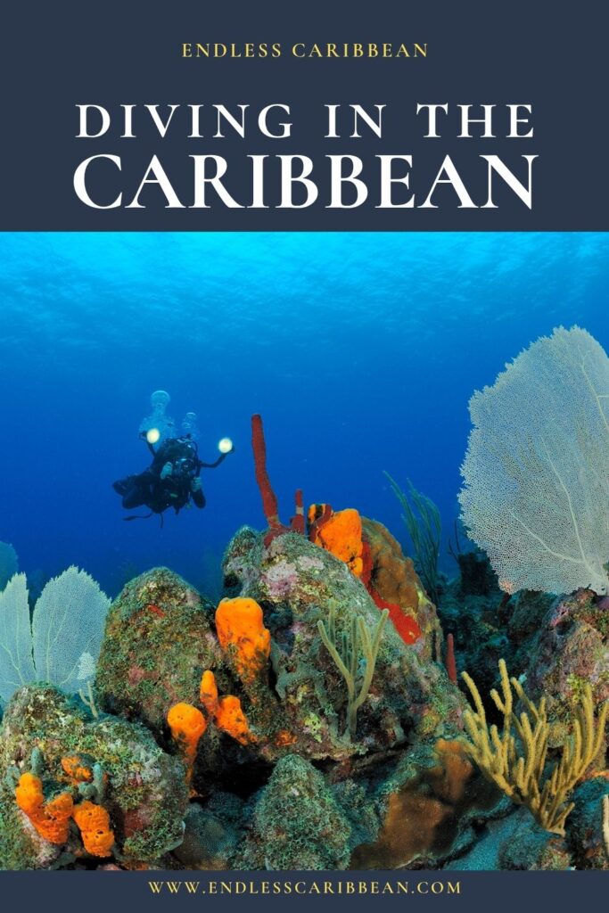 Endless Caribbean - Pinterest - Diving in the Caribbean