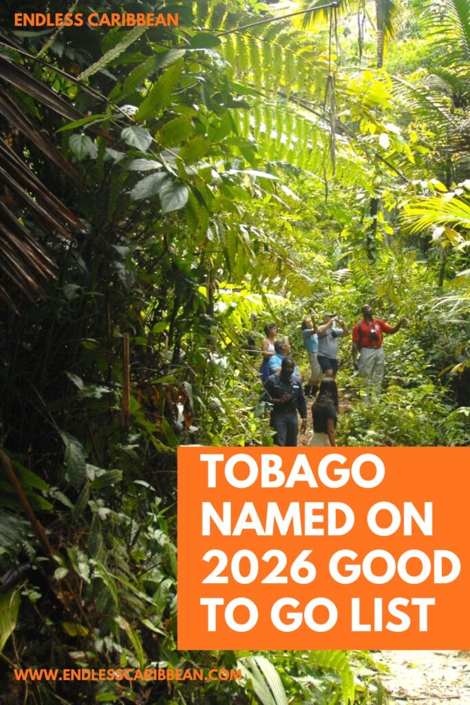Endless Caribbean - Pinterest - Tobago tops list of best places to travel in 2026
