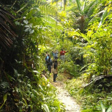 Endless Caribbean - Tobago Named on 2026 Good to Go List