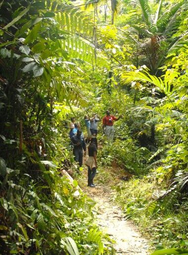 Endless Caribbean - Tobago Named on 2026 Good to Go List