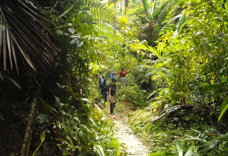 Endless Caribbean - Tobago Named on 2026 Good to Go List